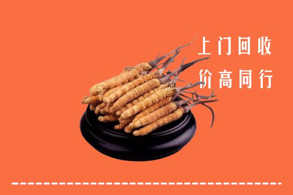 高价求购：承德隆化县回收散虫草
