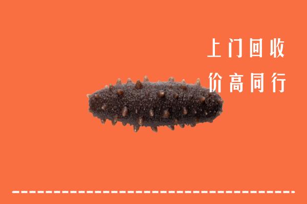 高价求购：承德隆化县回收海参