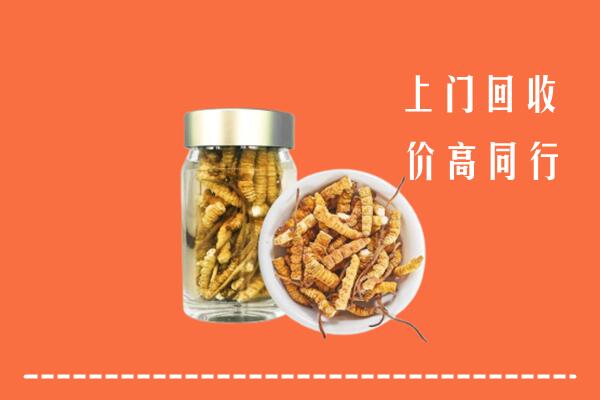 承德隆化县回收冬虫夏草